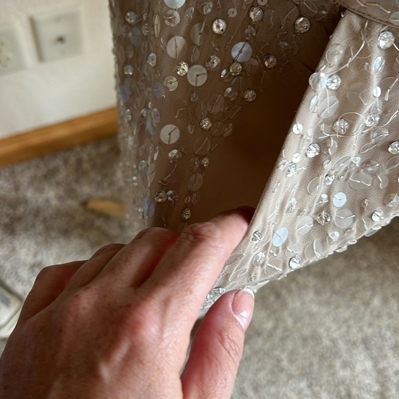 Ann Taylor Silk Beaded Skirt Size S Pockets Side Zip Stretch Waist - Picture 8 of 10